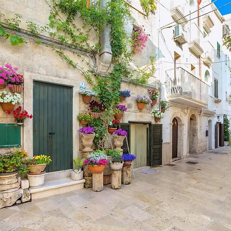 Casa Nonna Caterina - Happy Monopoli